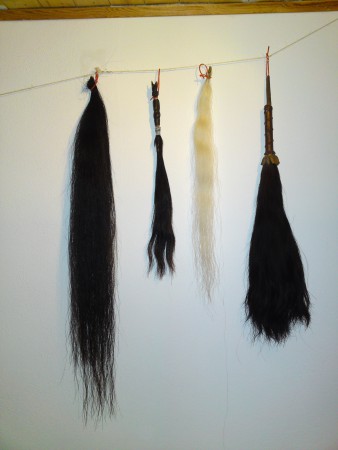 unsere Handschwänze